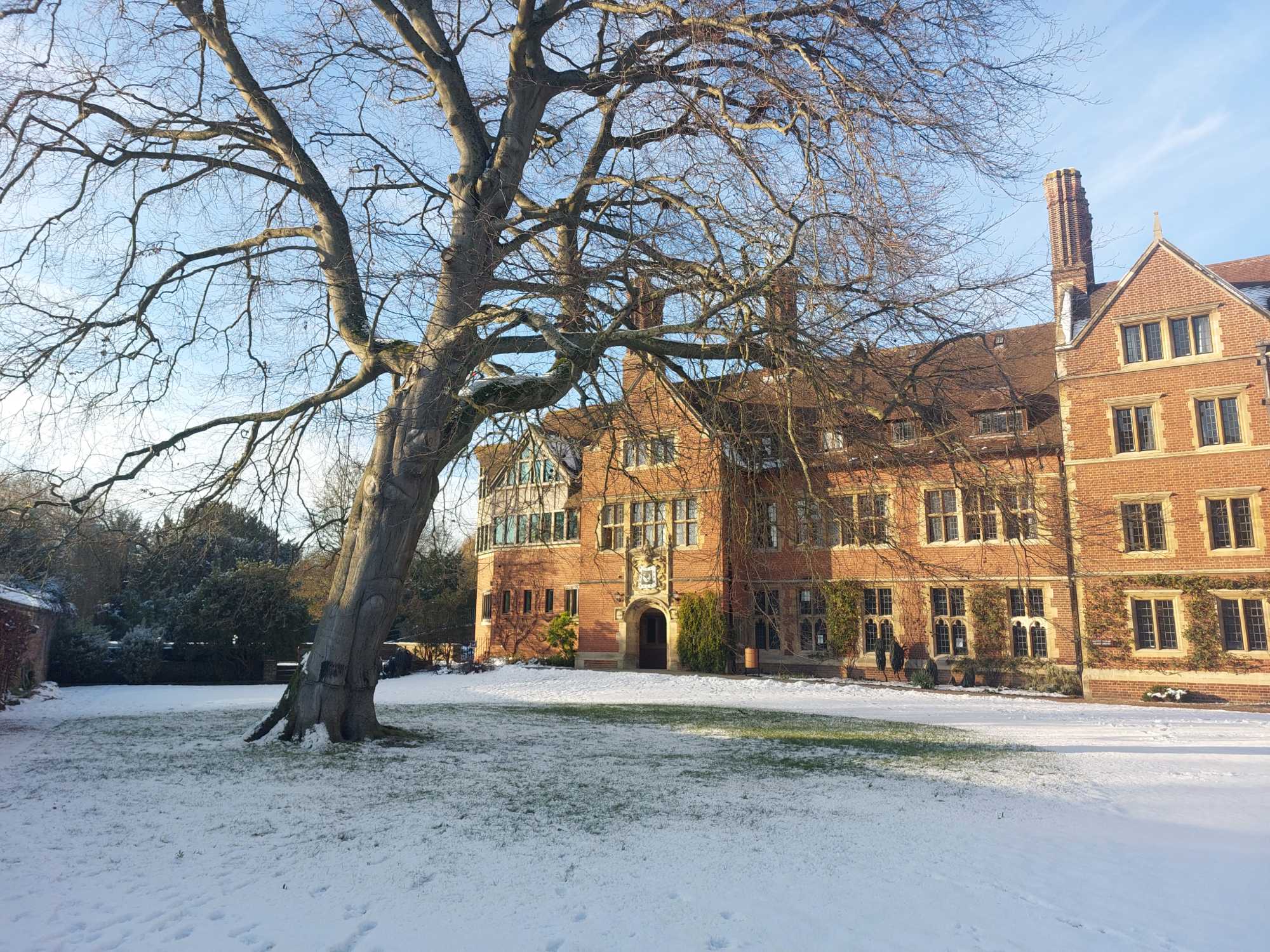 Snow-coverd grass in front of Jerwood Library and large berch tree.